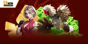 Cá cược đá gà ăn tiền thật