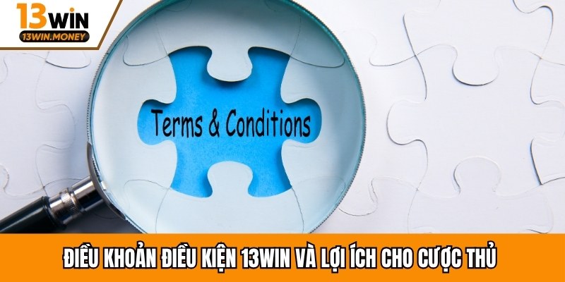 Điều khoản điều kiện 13WIN và lợi ích cho cược thủ