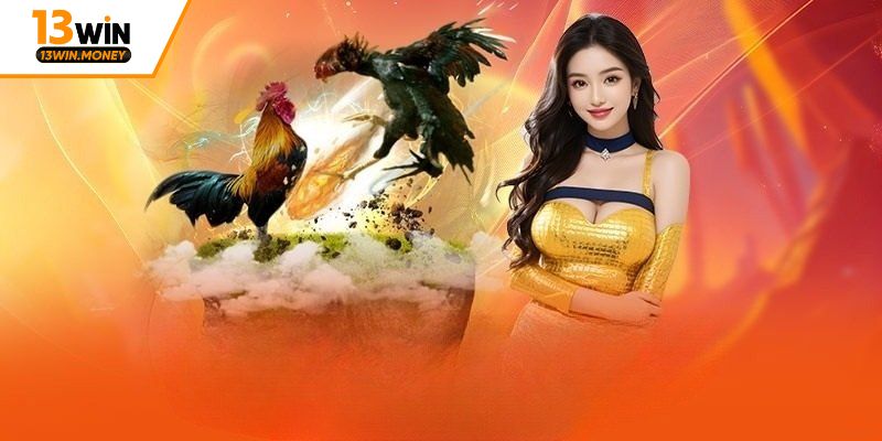 Một số thông tin về trang đá gà online 13win