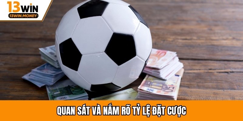 Quan sát và nắm rõ tỷ lệ đặt cược