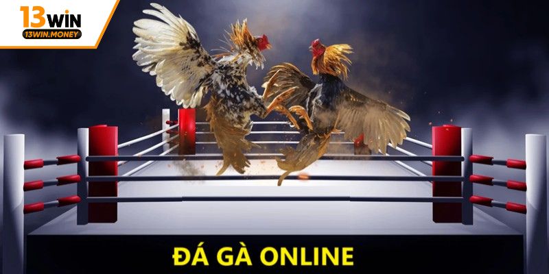 Sự uy tín của trang đá gà trực tiếp tại 13win