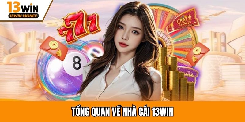 Tổng quan về nhà cái 13win