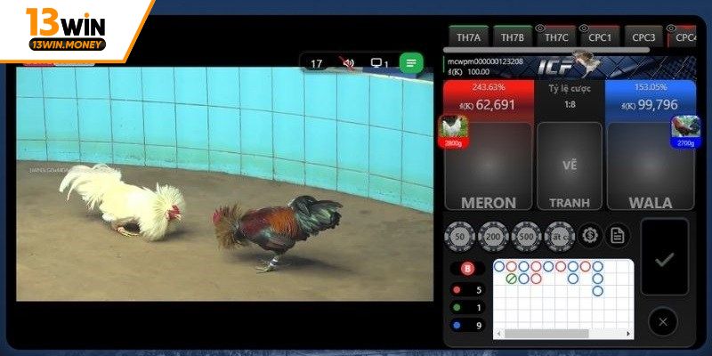 Trường đấu trực tiếp các chiến trận với chất lượng cao